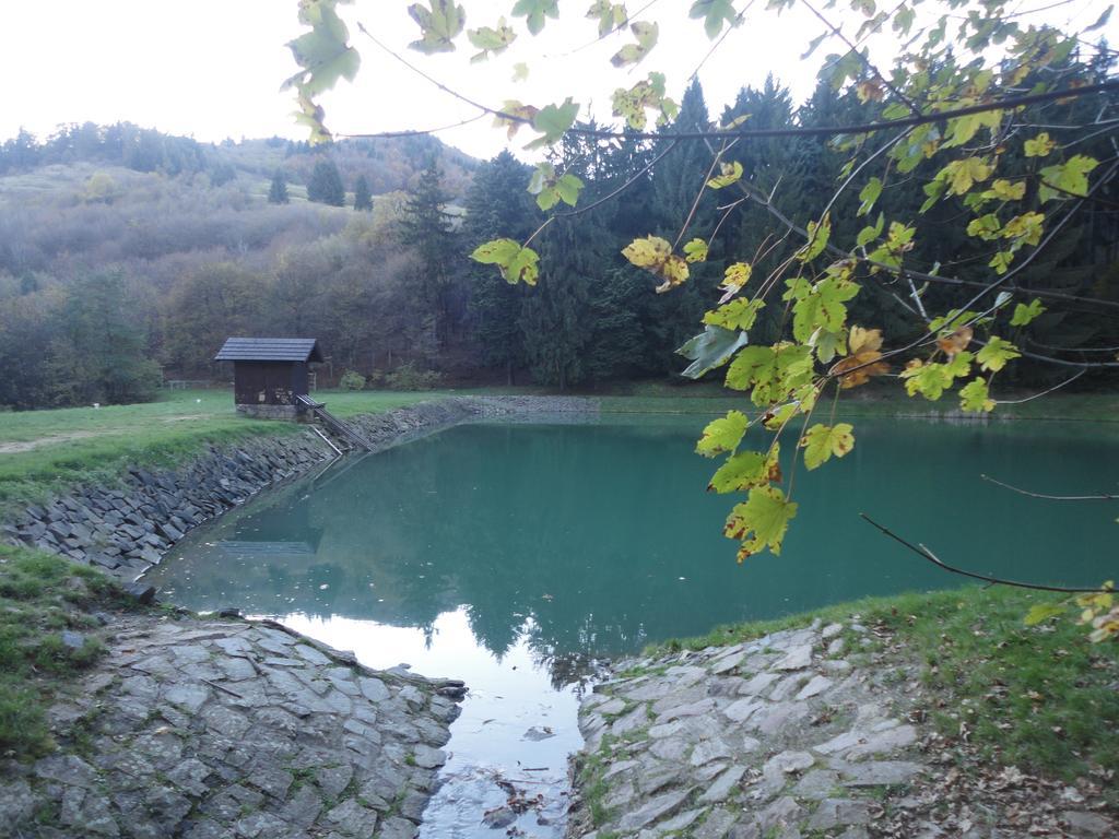 Ubytovanie Marina Banská Štiavnica Exterior foto